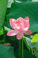 001