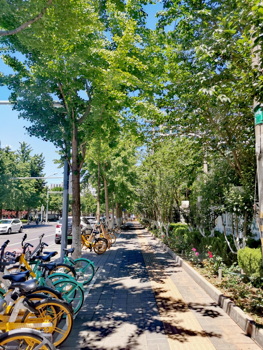 午后时光街道遛弯