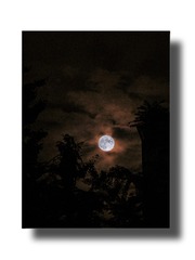 A888355A-F181-4E93-A79D-629C7851EEFD/L0/001