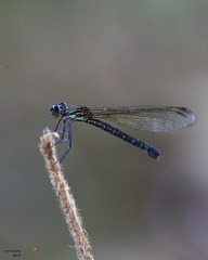 1613793