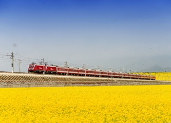 2507214
