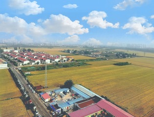 3724042