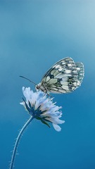 30051