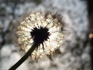 200614