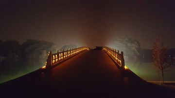 24533