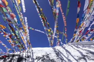85E9D895-4565-4D7F-B12B-E42B5E2FD079/L0/001