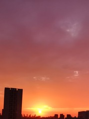 966388