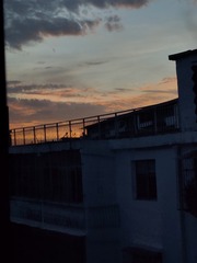 1000015307