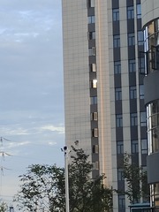 1000015298
