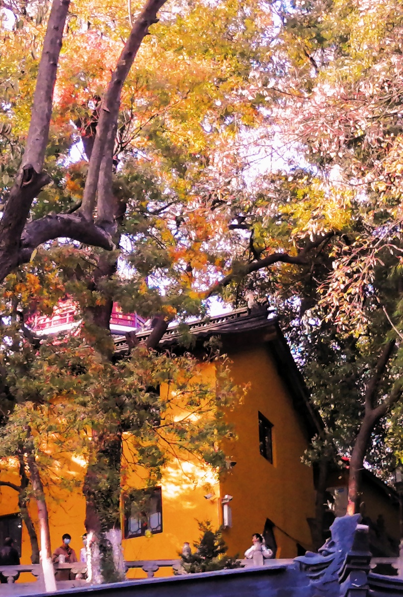 南京鸡鸣寺的秋天