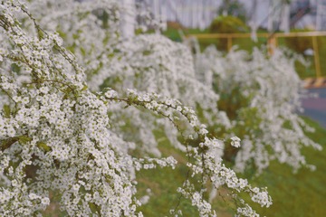 F2E9D2F5-1D7C-4BE4-99A3-4003818E33BB/L0/001