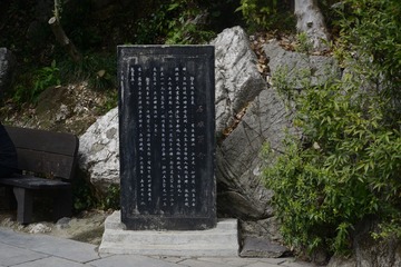 296CE56B-92E8-4A8D-A9C2-119297F451C6/L0/001