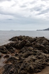 IMG_6798-编辑-编辑