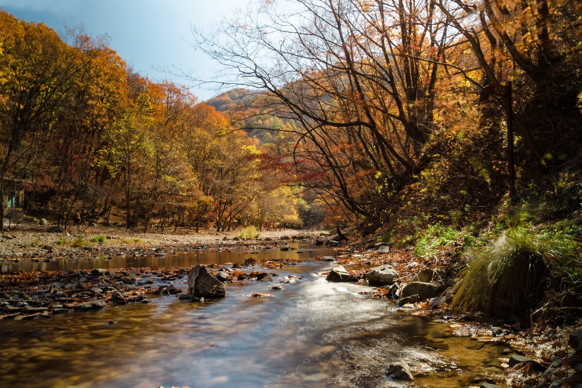 秋景