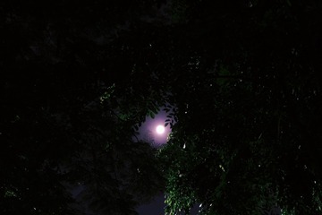 F74527CA-19E4-4EE8-98C3-77E81FB66291/L0/001