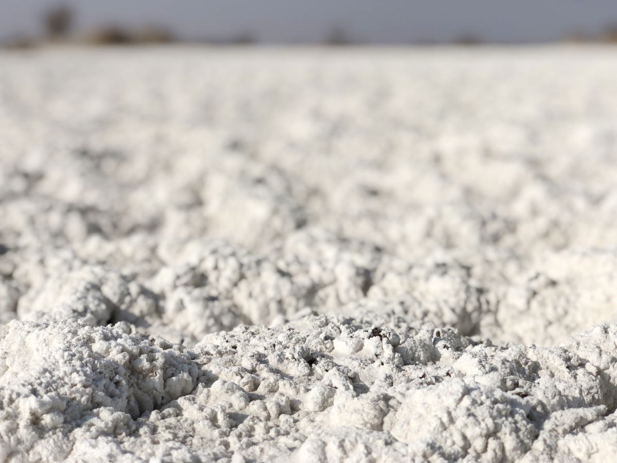 这里是新疆,盐碱地如同白雪一般