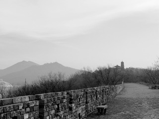 IMG_0355_