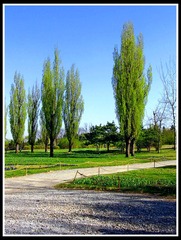 D2FD68FC-F051-4EE1-9D83-352094C0F183/L0/001