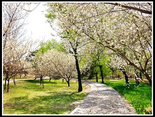 B4283EE7-6E45-48AE-B3CD-0E2CD2C516DF/L0/001