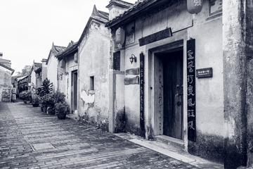 316495