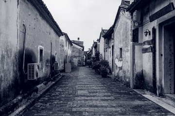316496