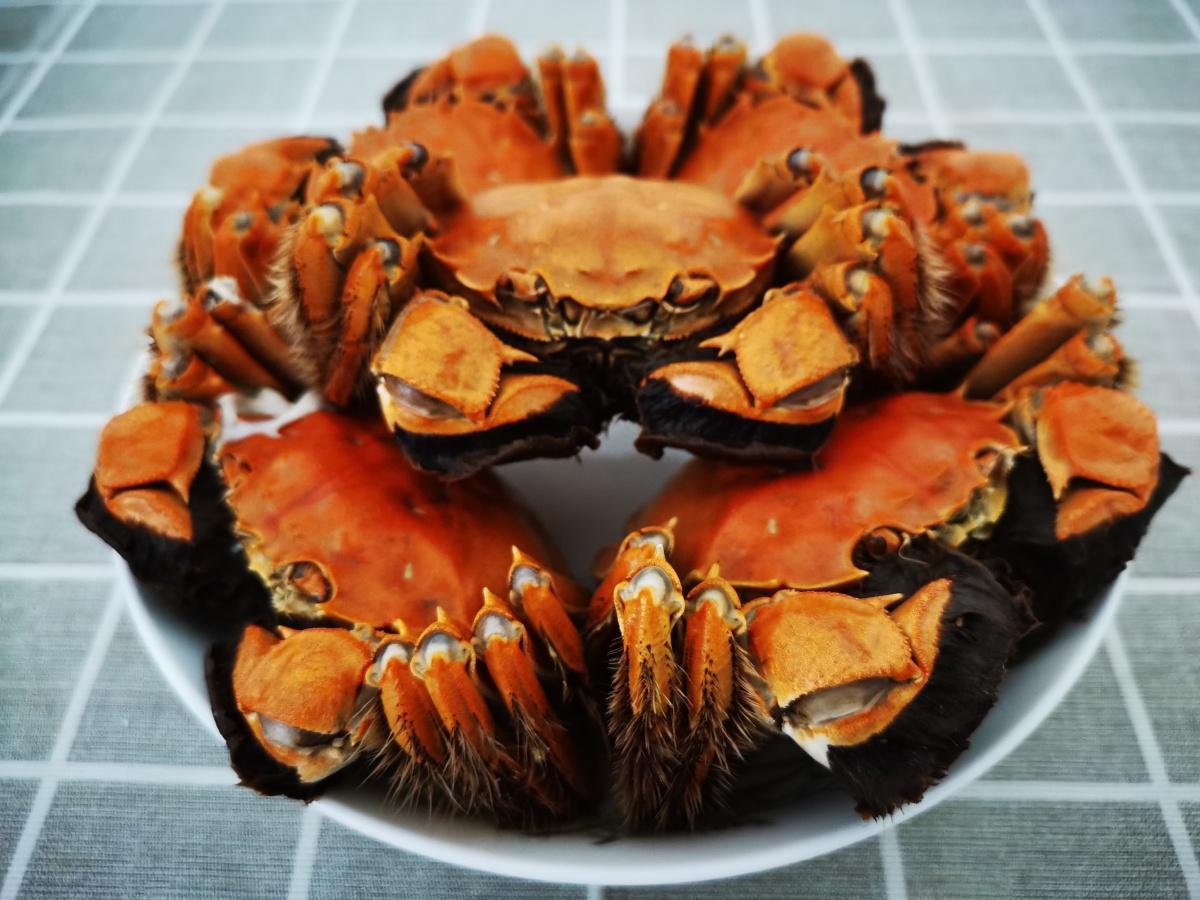 大闸蟹螃蟹