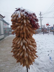 1211630