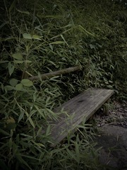 P1000369