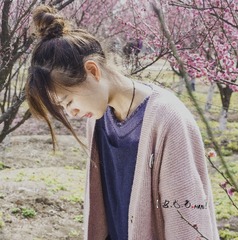 HAN_1720