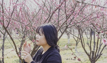 HAN_1700