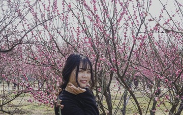 HAN_1712