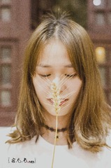 HAN_1549
