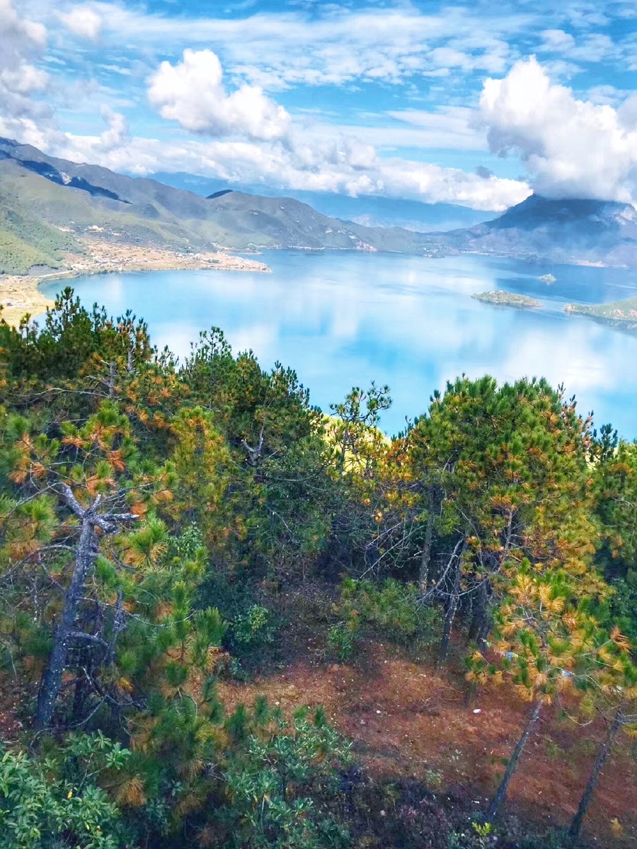 安静又清澈的湖水给人心旷神怡之美
