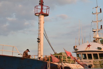 2659518