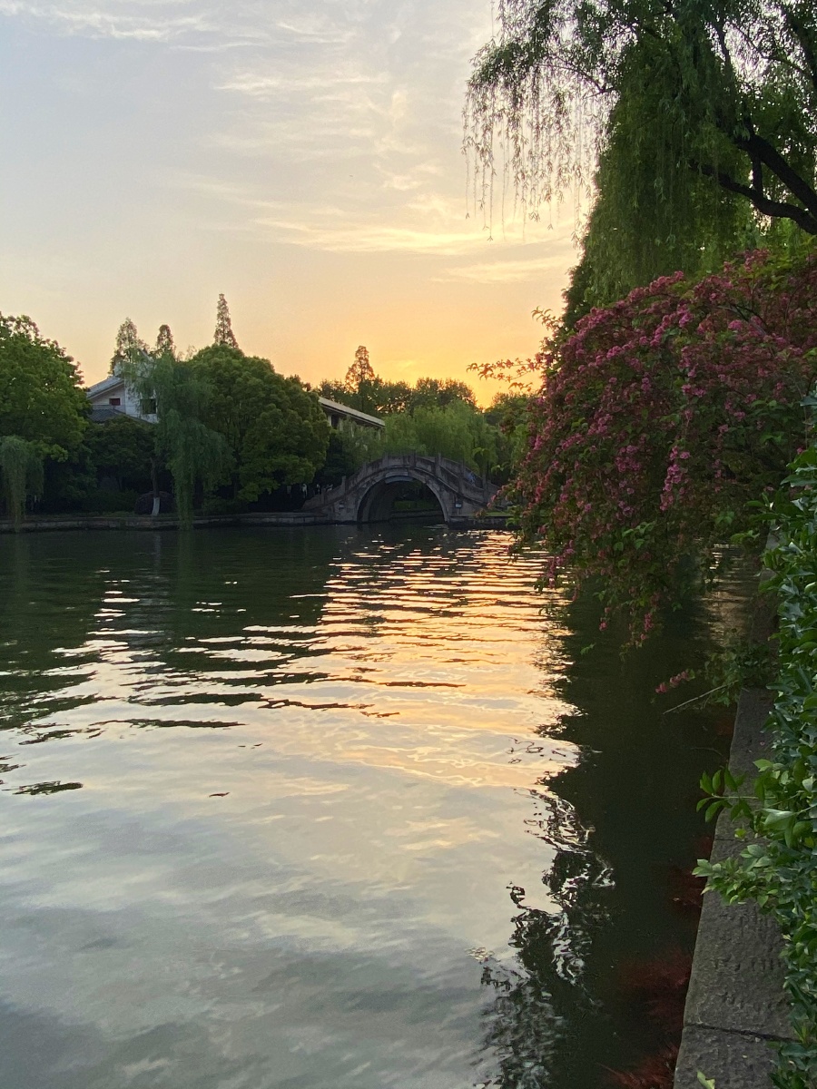 清晨的西湖一角