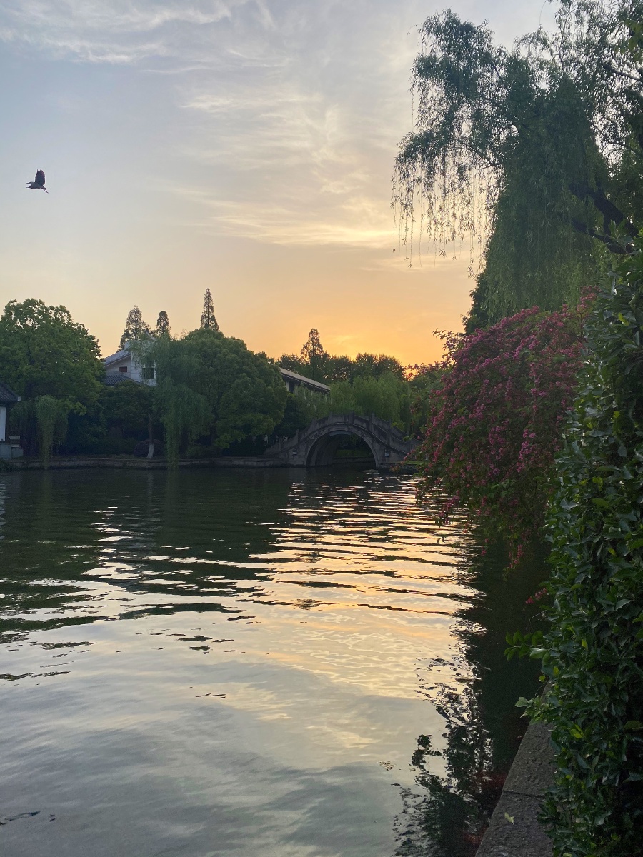 清晨的西湖一角