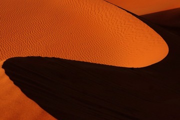 989