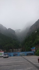 1239063