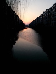 3669361