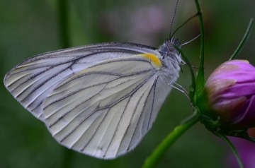 5.20 1304
