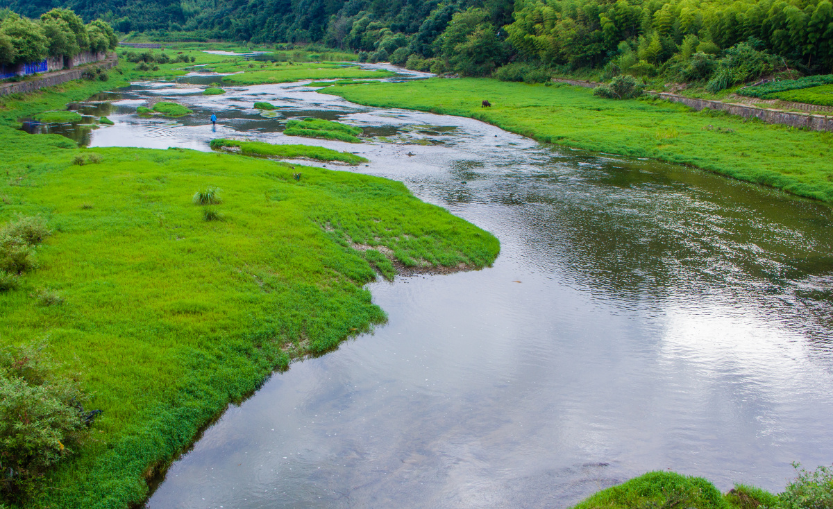 绿色河滩 - 荒林谈笑 - 图虫