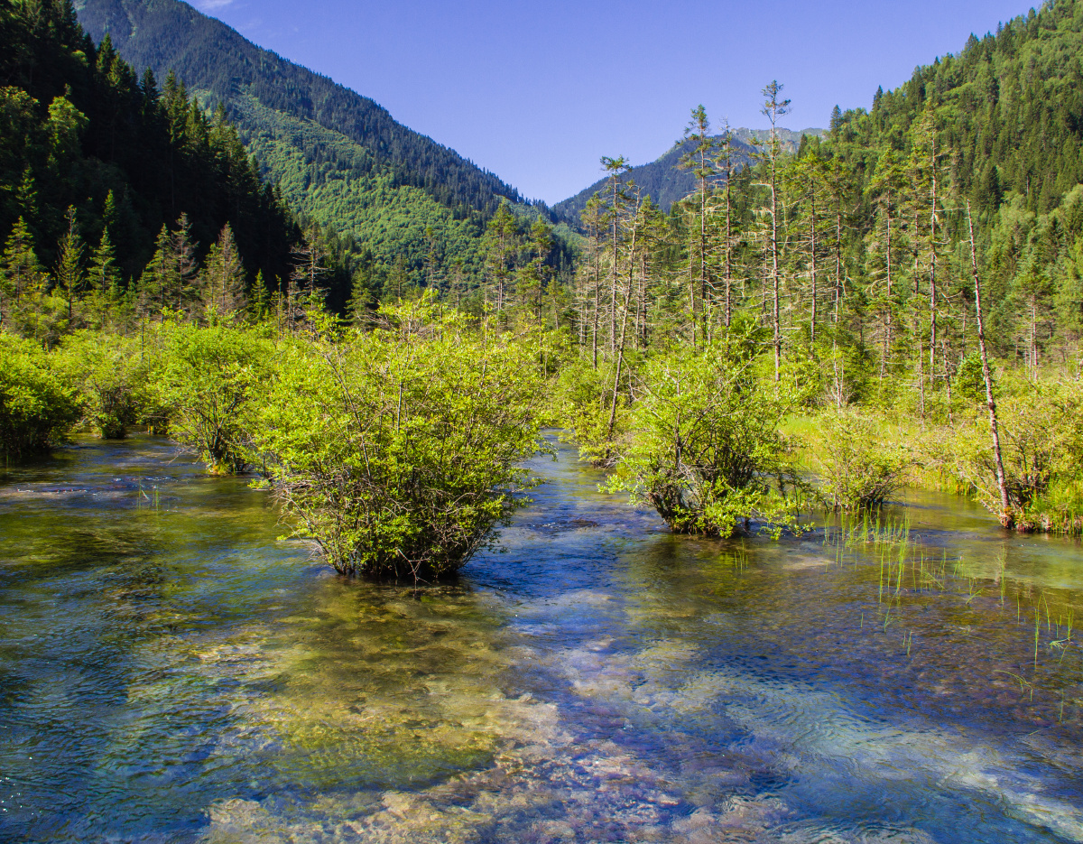 九寨沟芳草海风光