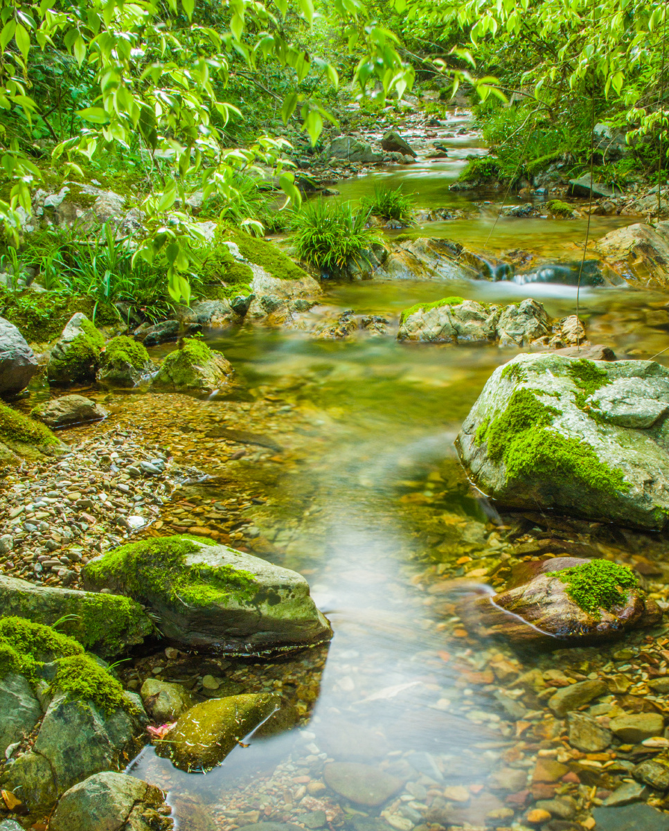 小溪流水
