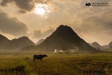 八宝_161005_0041
