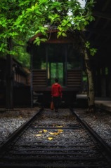 3091145