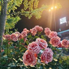 59D63AED-AB8C-45AB-8A62-F68C86B3F7AD/L0/001