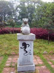 1447521