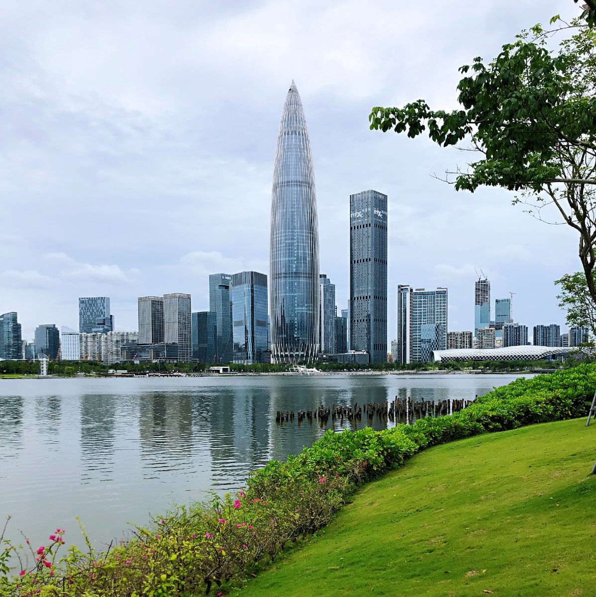 深圳湾人才公园