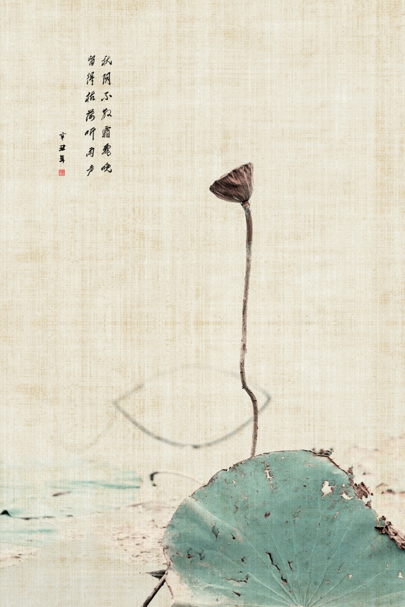 今日白露枯荷露重时闻滴君梦不来谁阻隔