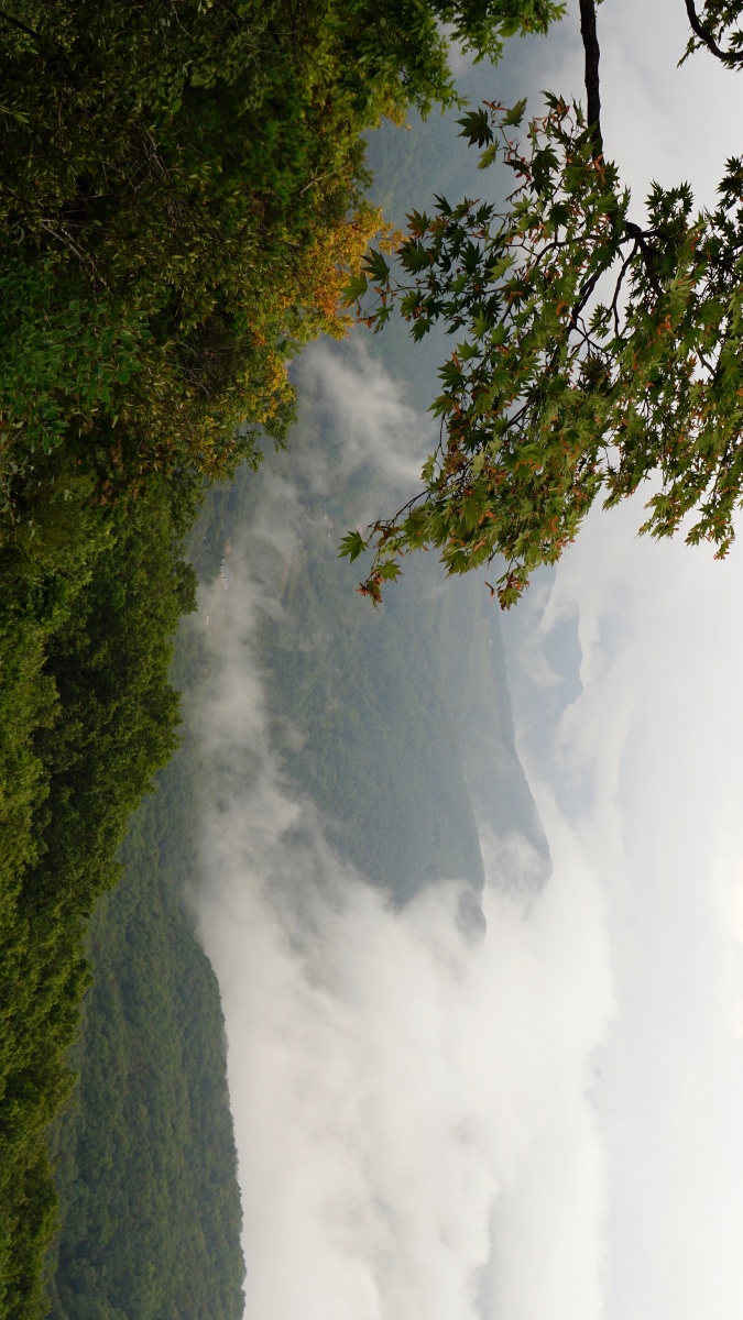 大牛沟云三年916格式请您横屏观看